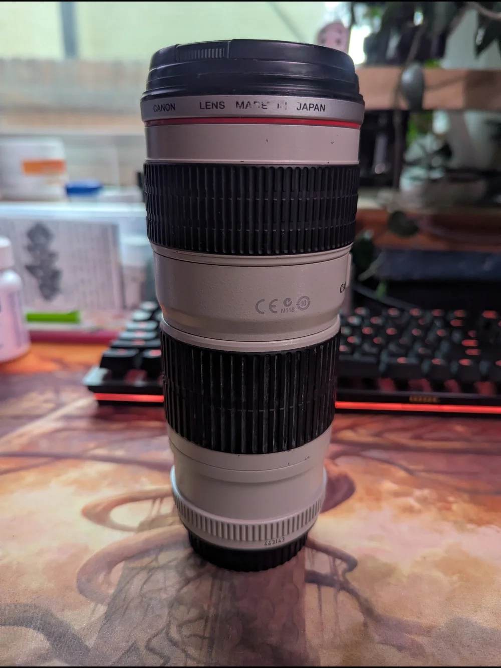 Canon 70-200mm Telephoto Zoom Lens — JAPANESE GLASS